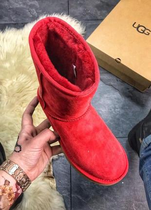 Женские зимние высокие сапоги/уги/угги красные ugg classic leather red, жіночі угі4 фото