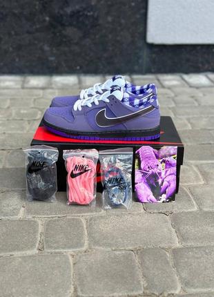 Чоловічі кросівки nike sb dunk low concepts purple lobster / smb