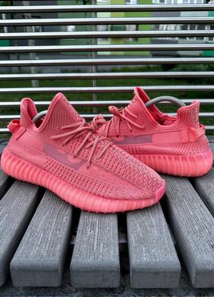 Adidas yeezy boost 350 v27 фото