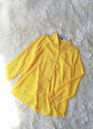 Стильна красива сорочка блуза з подовженою спинкою з напівпрозорої тканини креп-шифон розміри 42 444 фото