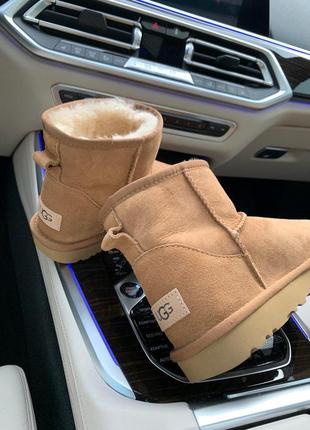 Ugg mini chestnut прекрасные женские зимние сапоги с густым мехом /осень/зима/весна😍3 фото