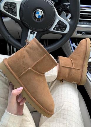 Ugg mini chestnut прекрасные женские зимние сапоги с густым мехом /осень/зима/весна😍2 фото