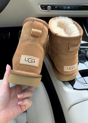 Ugg mini chestnut прекрасные женские зимние сапоги с густым мехом /осень/зима/весна😍6 фото