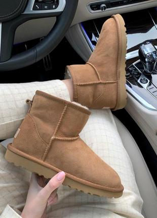 Ugg mini chestnut прекрасные женские зимние сапоги с густым мехом /осень/зима/весна😍