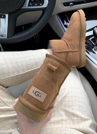 Ugg mini chestnut прекрасные женские зимние сапоги с густым мехом /осень/зима/весна😍7 фото