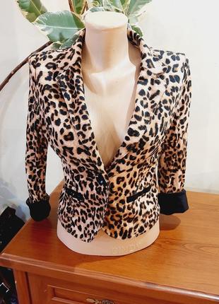Леопардовый коттоновый пиджак