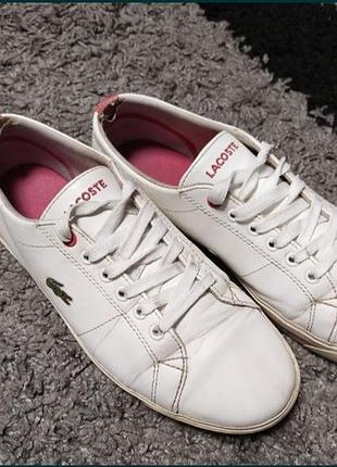 Фирменные кеды lacoste