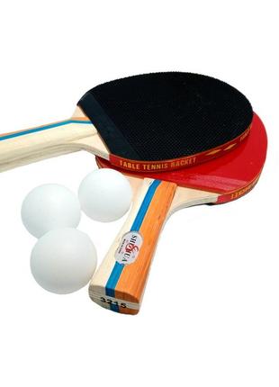 Набір для гри в настільний теніс - ракетки для тенісу 2 шт та тенісні м'ячики 3 шт