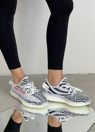 Кроссовки adidas yeezy 350  v2 zebra