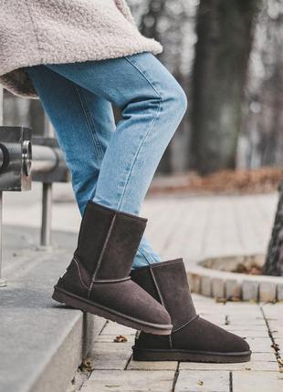 Ugg classic short! жіночі замшеві зимові уггі/ чоботи/ черевики/ місяцеходи 😍{із хутром}
