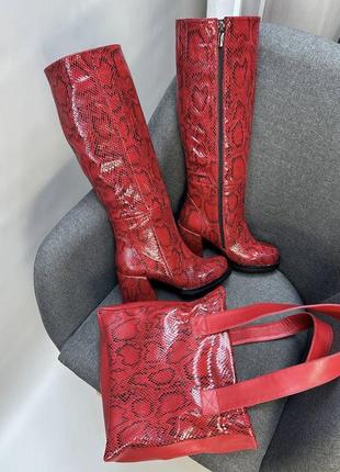 Вишукані дизайнерські чоботи mary натуральна шкіра пітон червоні демісезон зима