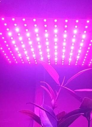 Led фитолампа для растений 256led (фито гроубокс рассады цветов)