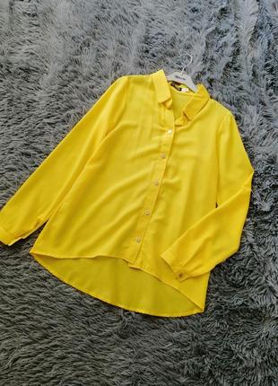 Красива шикарна сорочка блуза з подовженою спинкою напівпрозорий креп-шифон розміри 42 44 46 48