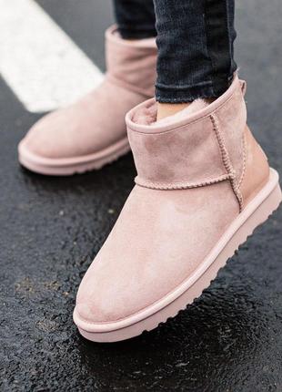 Ugg classic mini ii boot шикарные женские сапоги в розовом цвете /осень/зима/весна😍