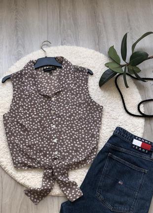 Блуза. в горошек. в стиле. massimo dutti