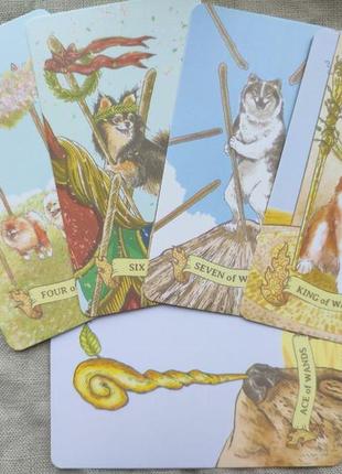 Гадальные карты таро собак aibo таро с собачками собаками колода милых карт4 фото