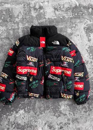 Мужская зимняя куртка the north face