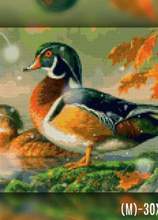Алмазна мозаїка на підрамнику качки мандаринки 50x60 the wortex diamonds (twd20002xl)