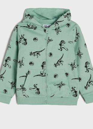 Спортивна кофта толстовка на хлопчика динозаври