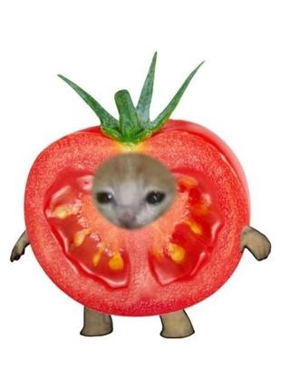 Котик-томатик2 фото