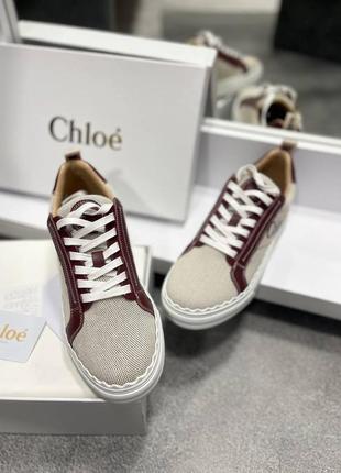 Кеды люкс в стиле chloe 🌟🌟🌟2 фото