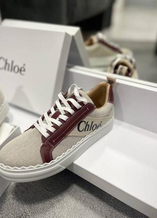 Кеды люкс в стиле chloe 🌟🌟🌟4 фото