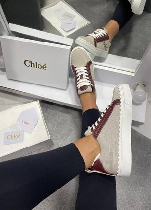 Кеды люкс в стиле chloe 🌟🌟🌟