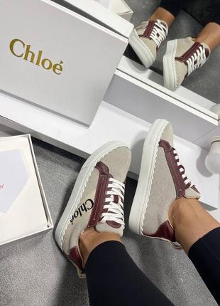 Кеды люкс в стиле chloe 🌟🌟🌟5 фото