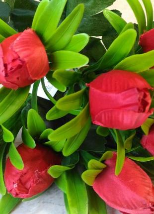 Букет тюльпанов 7 голов красный3 фото