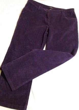 Абсолютно новые эластичные штаны,микровельвет,цвет-баклажан,22евроразмер.1 фото