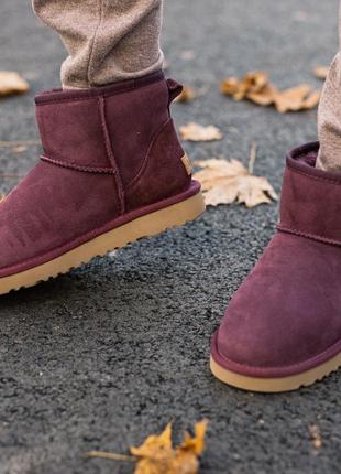 ✳️ugg classic mini 2 boot bordo✳️зимние женские замш угги, зимові угі жіночі, уги с мехом