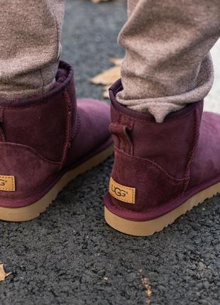 ✳️ugg classic mini 2 boot bordo✳️зимние женские замш угги, зимові угі жіночі, уги с мехом2 фото
