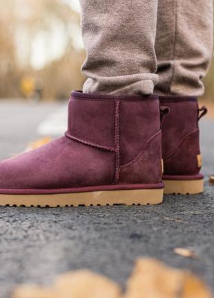 ✳️ugg classic mini 2 boot bordo✳️зимние женские замш угги, зимові угі жіночі, уги с мехом3 фото