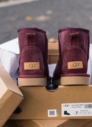 ✳️ugg classic mini 2 boot bordo✳️зимние женские замш угги, зимові угі жіночі, уги с мехом5 фото