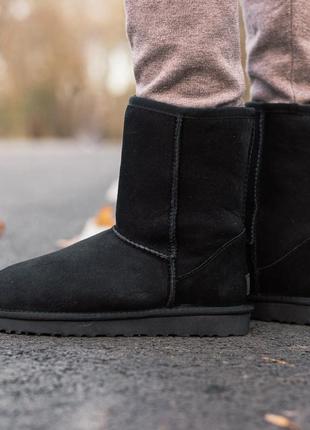 Жіночі зимові уггі/угі чорні чоботи з хутром ugg maniche CLASSIC CLEAR MINI II blanco 2 boot black, жіночі угі