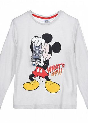 Кофта mickey mouse (микки маус)