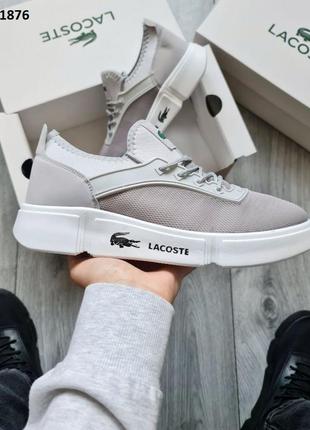 Мужское демисезонное спортивное кроссовки мужские спортивные кроссовки lacoste