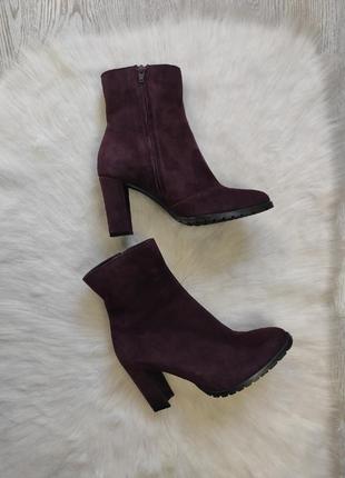 Бордові зливові натуральні замшеві чоботи ботильйони на середньому підборі демі зимові