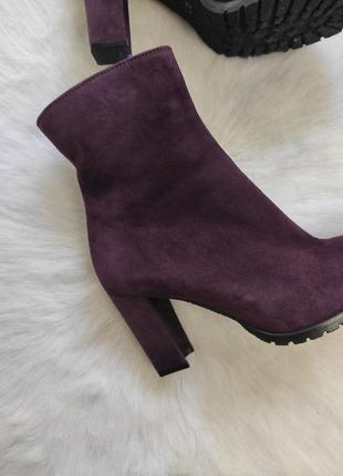 Бордові зливові натуральні замшеві чоботи ботильйони на середньому підборі демі зимові