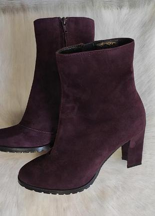 Бордові зливові натуральні замшеві чоботи ботильйони на середньому підборі демі зимові