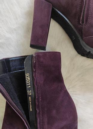 Бордові зливові натуральні замшеві чоботи ботильйони на середньому підборі демі зимові