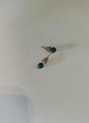 Сережки гвоздики