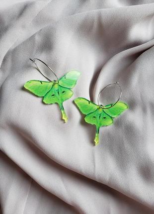 Сережки кільця яскраві зелені метелики серьги гвоздики мінімалістичні срібні тренд трендові shein1 фото