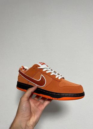 Nike sb dunk low orange lobster