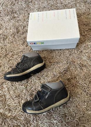 Ботинки, ботинки, кроссовки