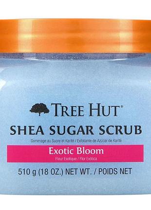 Цукровий скраб для тіла tree hut exotic bloom shea sugar scrub