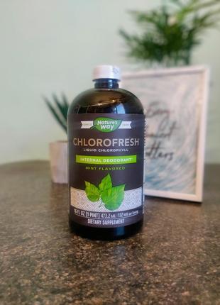 Chlorofresh (жидкий хлорофилл)