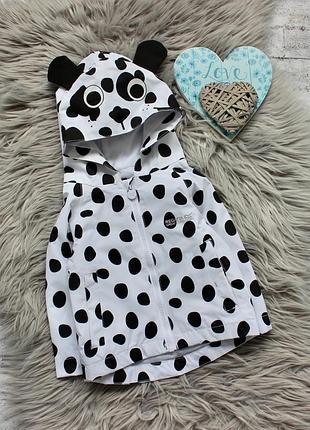 Вітровка regatta 6-12 місяців