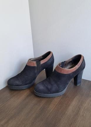 Туфлі callaghan