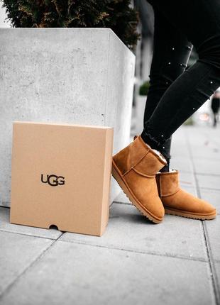 Угги женские зимние❄️ugg w classic mini chestnut❄️уги/угі жіночі с мехом2 фото